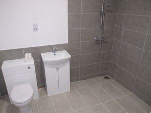 Shower room- click for photo gallery